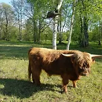Risti Kodumajutus Pansiyon *