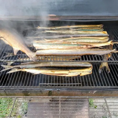 Homestay szállás Risti Kodumajutus *