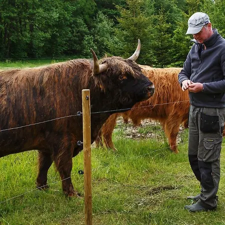 Risti Kodumajutus Homestay szállás *