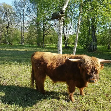 Risti Kodumajutus Homestay szállás *