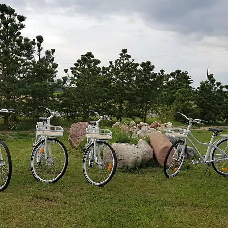 Risti Kodumajutus * Lemsi