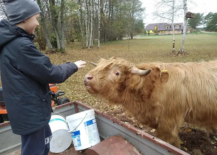 Homestay szállás Risti Kodumajutus