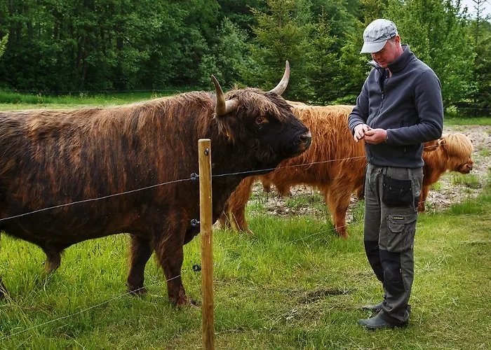 Risti Kodumajutus Homestay szállás *