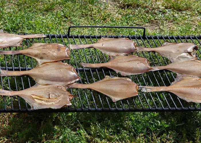 Homestay szállás Risti Kodumajutus *